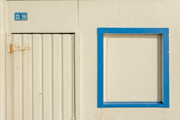 Quelles croisières offrent des excursions pour observer les dauphins en mer Baltique?