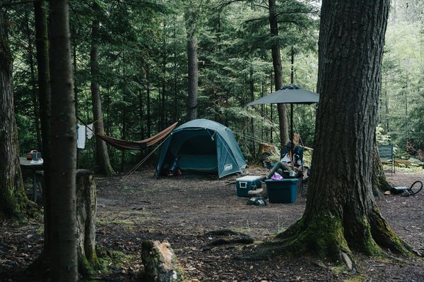 Comment organiser un camping pour une expédition de randonnée en région de toundra en été?
